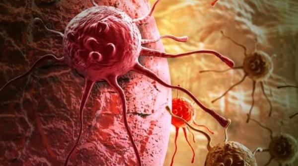 interviu thomas brodowicz oncolog la akh viena mesaj cheie pentru terapia cancerului