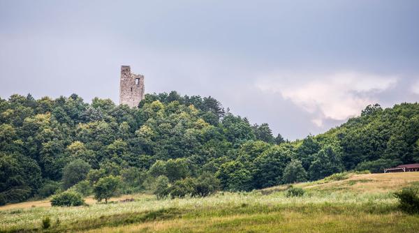 refugiul voievodului menumorut sapaturi arheologice la cetatea de la almasu mic