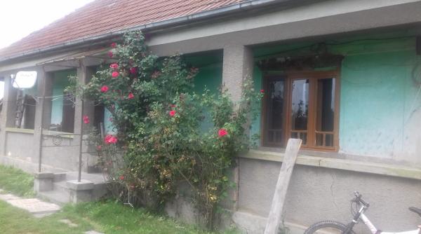casa gratis in satu mare