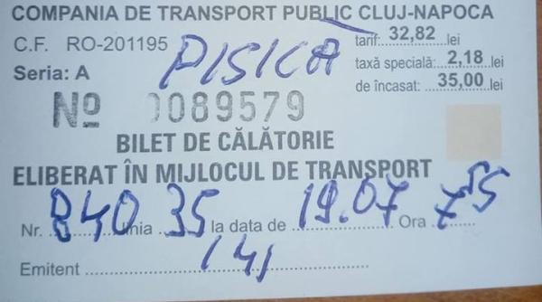 femeie amendata din cauza animalului de companie singurul argument nu e caine