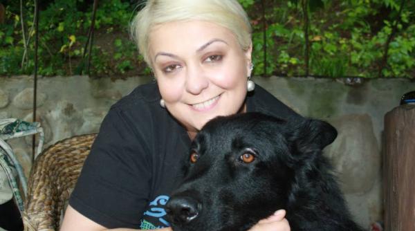 monica anghel la stapanii vedetelor cred ca ar trebui reglementata legea