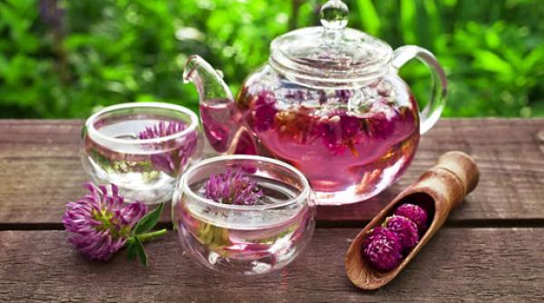 trifoi ro u beneficii o planta aducatoare de noroc i mai ales de sanatate