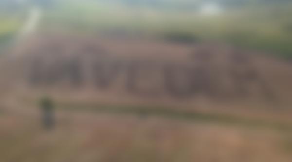 nou mesaj anti psd la cluj pe camp scris de aceia i protagoni ti