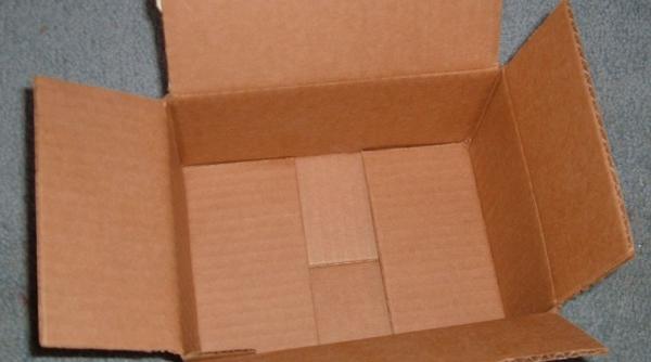 a murit dupa ce a fost muscata de sarpele pe care il comandase online