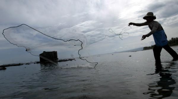 somoni trata i cu antibiotice evada i din ferma celui mai mare producator mondial