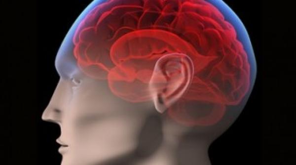 un factor care imbolnave te creierul to i suntem expu i