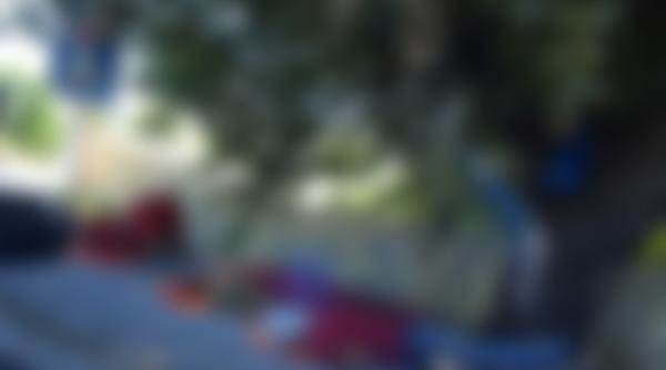 fotografia care a revoltat diaspora