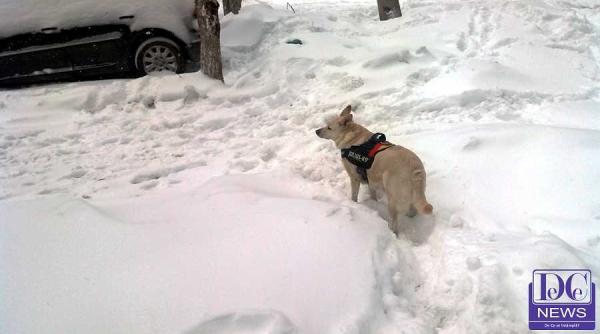 maria ghiorghiu previziune ingrozitoare pentru iarna care urmeaza