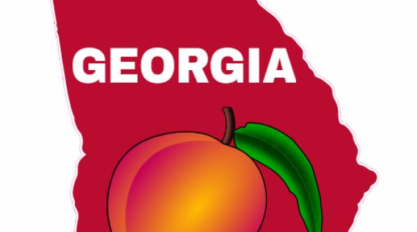 statul georgia proclama ie oficiala de felicitare a romaniei