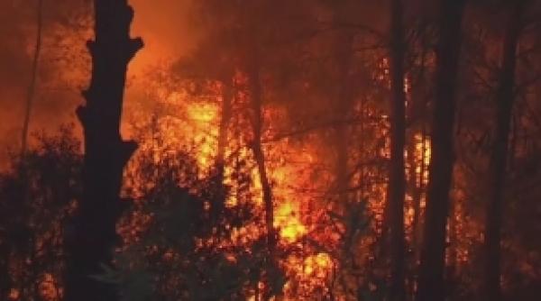 alerta pentru suedia incendii devastatoare