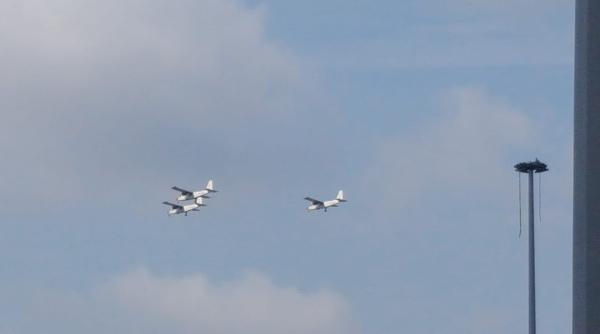 bias 2018 program complet pe ore