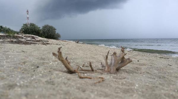 litoral 2018 plajele virgine de la marea neagra foto
