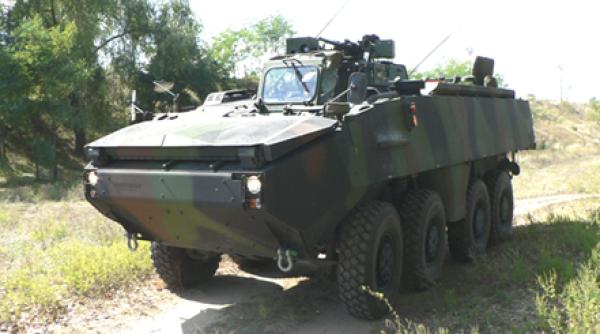 piranha iii c armata romana transportoare blindate