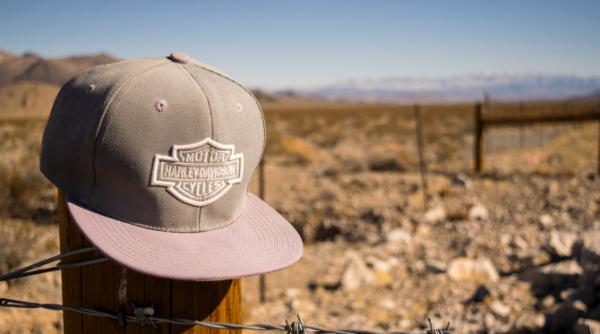 germania campanie de propaganda risc strategic