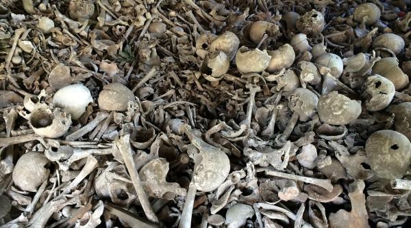 lagar periprava ramasite scheletice descoperite de procurorii militari