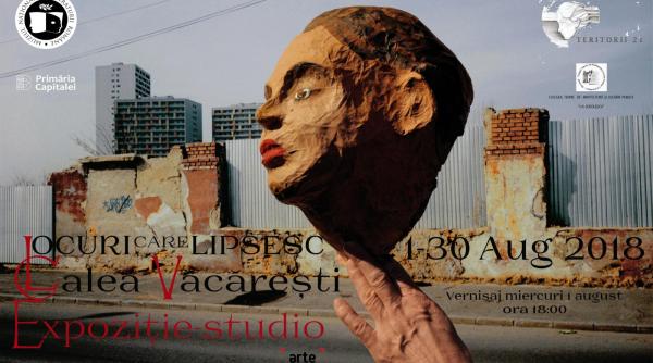 locuri care lipsesc vacare ti dude ti expozi ie studio