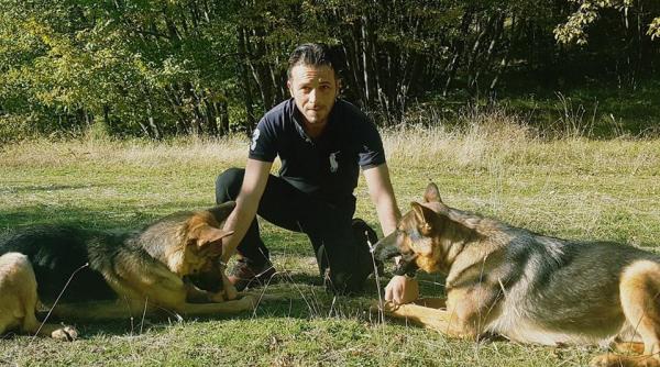 altfel de eroi destine tragice cainii dresati pentru a ii ajuta pe oameni