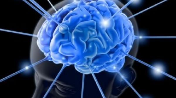 ase reguli de aur care ajuta creierul sa produca neuroni