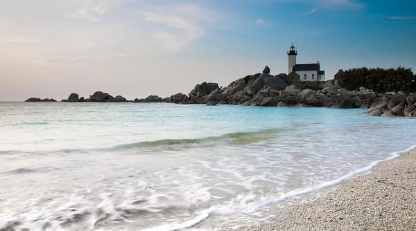 donatorul universal de sange hemoglobina revolu ionara din adancul marii