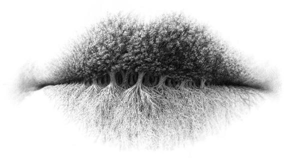 test de personalitate ce vezi prima data in imagine spune multe despre tine