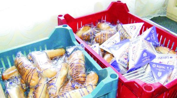 boto ani ancheta posibile licita ii trucate