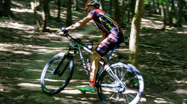 timi persoane atacate de insecte la un concurs de ciclism