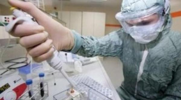 romania pesta porcina comisia europeana pregatita pentru ajutor