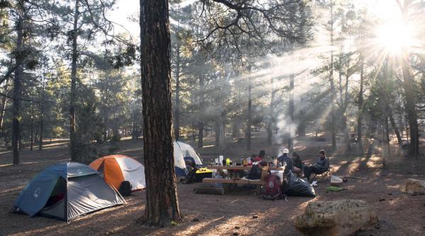 valea cerbului bu teni turist atacat de urs in cort