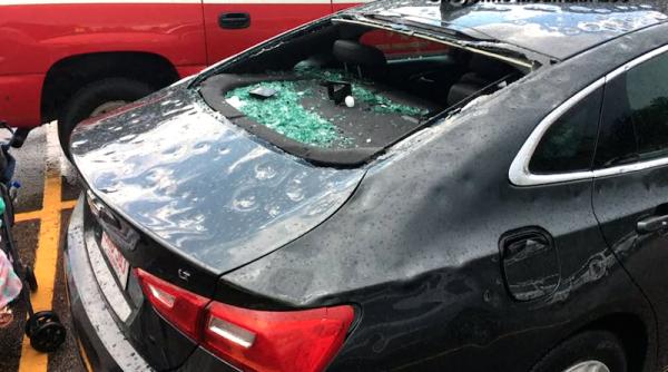 grindina ucigasa animale ucise la zoo colorado