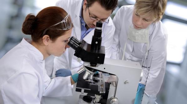 marinel pitrea acuze sistemul de crecetare dihotomic i segrega ionist