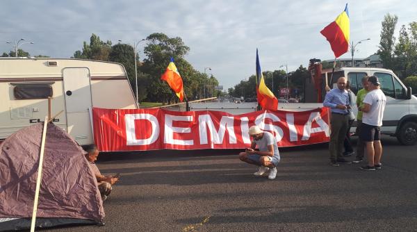 protest diaspora cine sunt protestatarii care au venit primi in pia a victoriei
