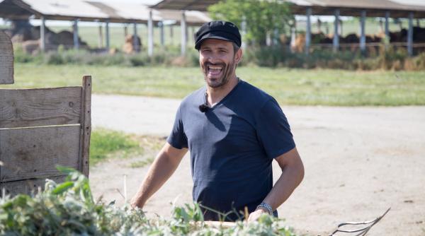 nicolai tand pofti i la nea marin pleci din start cu un handicap