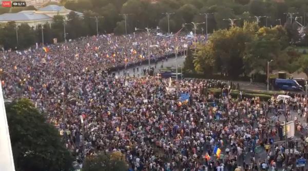 protest diaspora 10 august manifest pentru democra ie distribuit in pia a victoriei