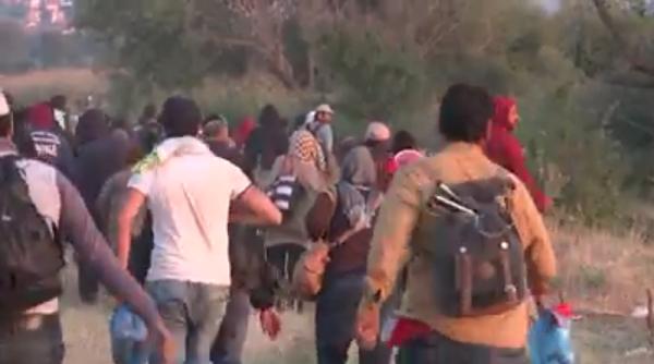 croatia migranti sirieni omora i de pietre