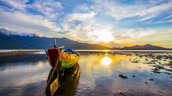 pe tele pangasius vasep dezmin ire despre presupusa toxicitate