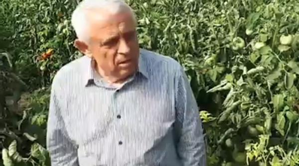 pesta porcina petre daea e o mare gre eala daca facem lucrul acesta