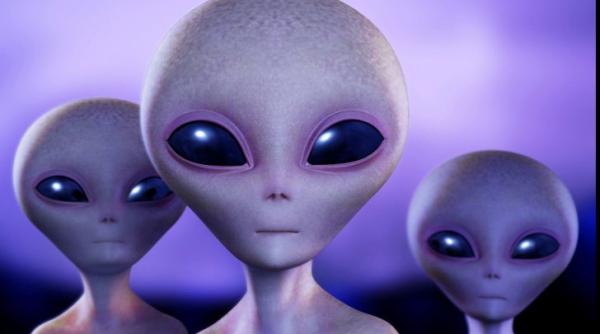 germania  contact cu extraterestrii  precizarile guvernului federal