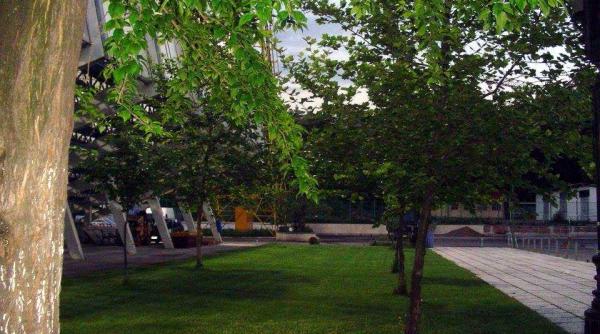 tigrul platanului cat de periculoasa e in epatura i ce trebuie sa faci