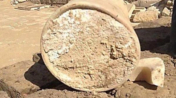 branza cu o bacterie uciga a veche de peste 3 000 de ani