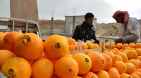 scorbutul apare din nou in for a din cauza saraciei i malnutri iei