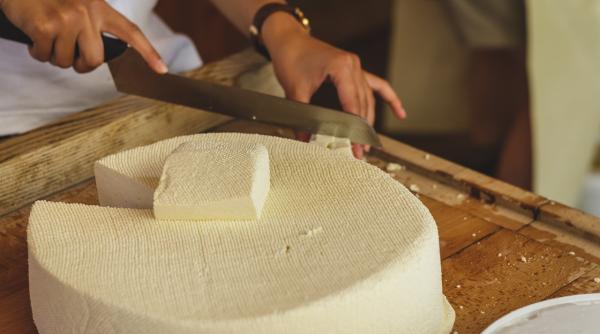 branza contrafacuta diferen e cum o recuno ti pune o la fiert