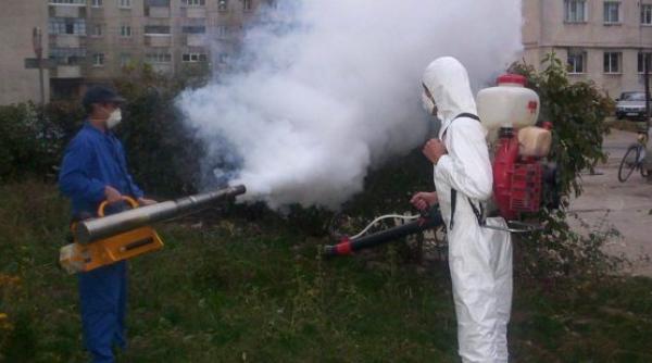 bucuresti  combatere tantari  primaria  actiune in toate sectoarele