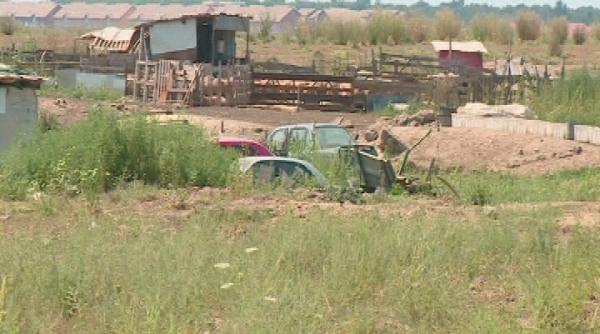 pesta porcina la o stana din ilfov