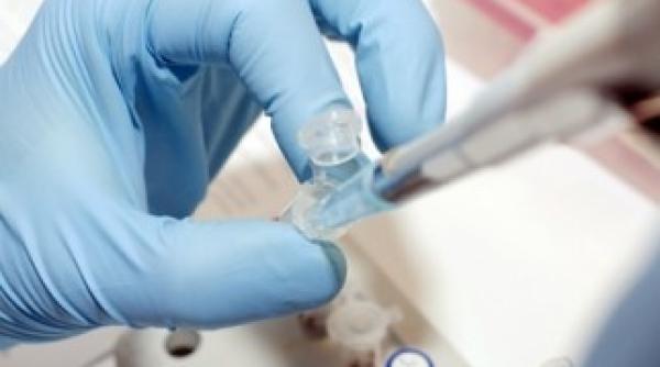 rezultate promi atoare tratament nou pentru cancer la san metastatic