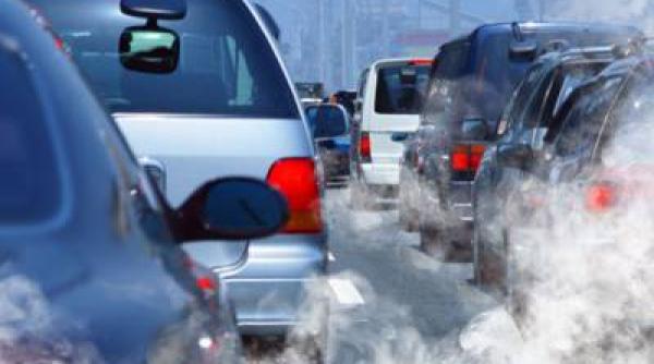 taxa auto termen limita pentru to i oferii