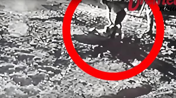 tanara le inata tarata de un poli ist prin arana mi a cerut 1000 de lei video