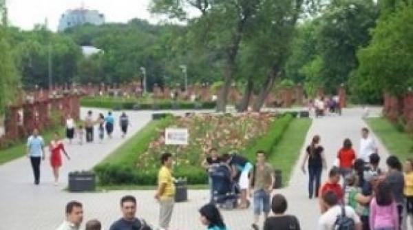 combatere tantari bucuresti actiune in 100 de parcuri si gradini publice