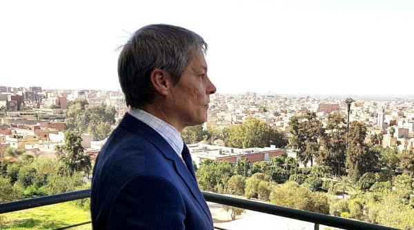 ciolo refuzat de un jurist celebru m am ferit intotdeauna