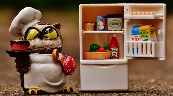 alimentele din frigder cum i i dai seama ca s au stricat