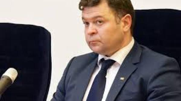 marilen pirtea pnl scandalul manualelor erodeaza credibilitatea sistemului